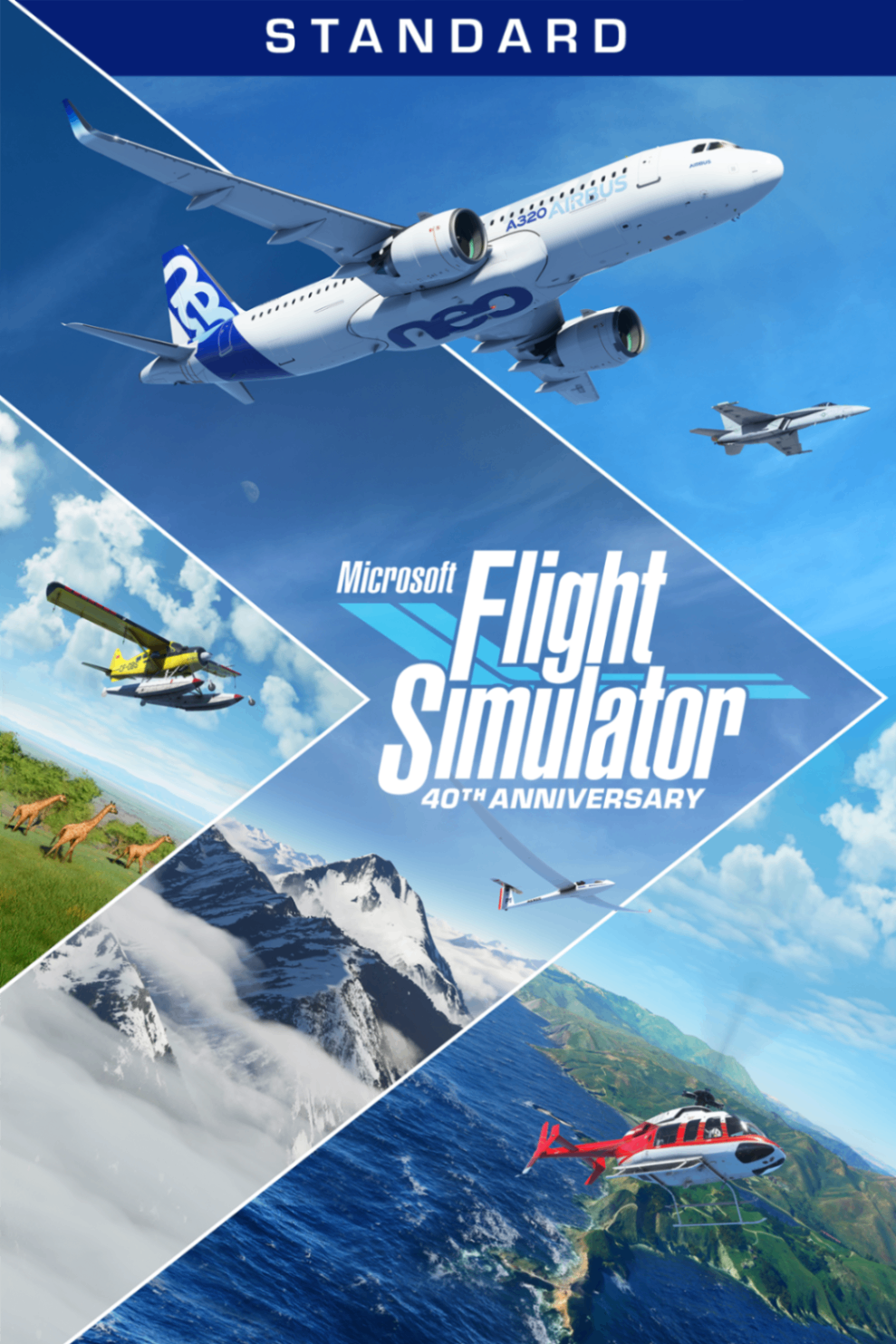 Microsoft Flight Simulator