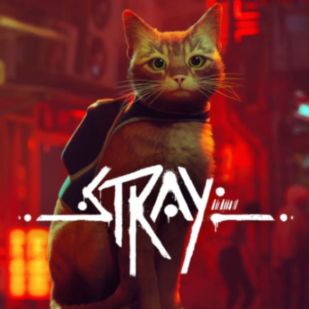 🔑 KEY Stray